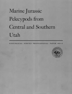 Marine Jurassic Pelecypods from Central and Southern Utah