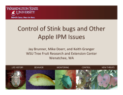 Control of Stink bugs and Other Control of Stink bugs and Other