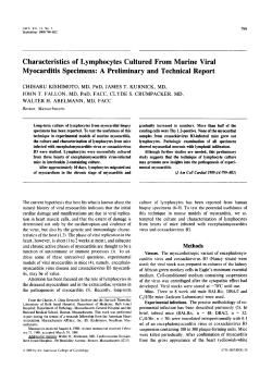 Characteristics of lymphocytes cultured from murine viral