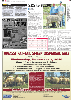 AWASSI FAT-TAIL SHEEP DISPERSAL SALE