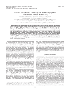 Pro-B-Cell-Specific Transcription and Proapoptotic