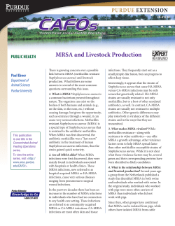 MrsA and Livestock Production - Purdue Extension