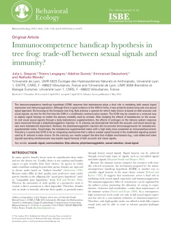Immunocompetence handicap hypothesis in tree frog: trade