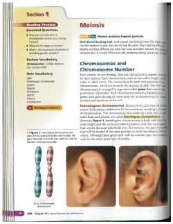 Meiosis Reading