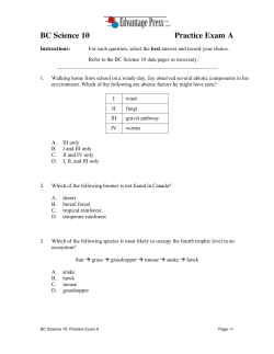BC Science 10 Practice Exam A