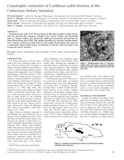 Catastrophic extinction of Caribbean rudist bivalves at