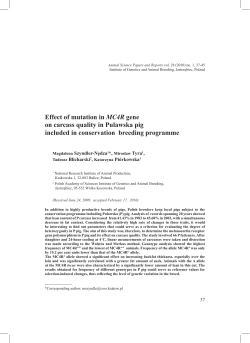 Effect of mutation in MC4R gene on carcass quality in