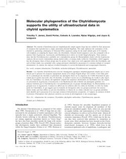 Molecular phylogenetics of the Chytridiomycota supports the utility of