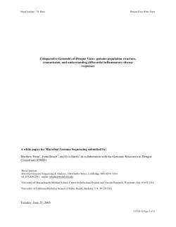Comparative Genomics of Dengue Virus