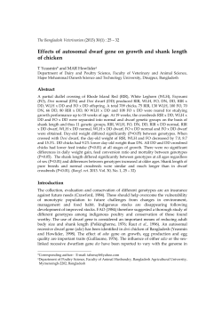 Effects of autosomal dwarf gene on growth and shank length of
