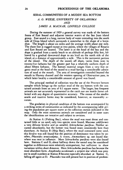 Seral Communities of a Muddy Sea Bottom