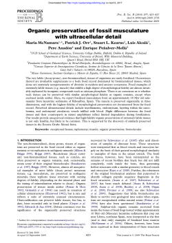 Organic preservation of fossil musculature with