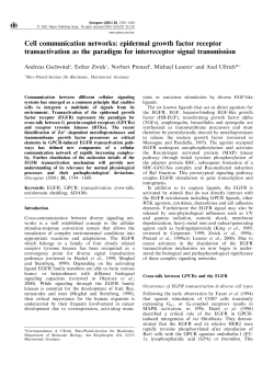 Cell communication networks: epidermal growth factor receptor