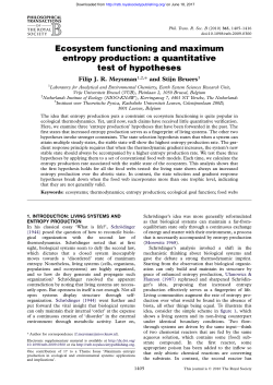 Ecosystem functioning and maximum entropy production: a