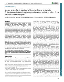 Inward cholesterol gradient of the membrane system
