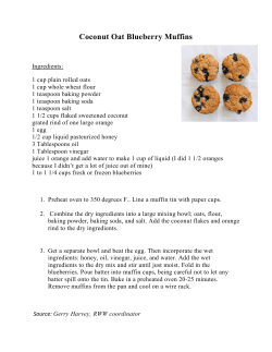 Coconut Oat Blueberry Muffins