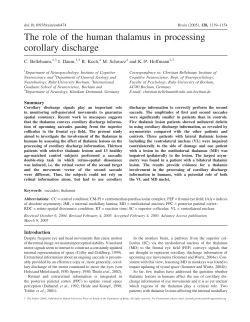 The role of the human thalamus in processing corollary