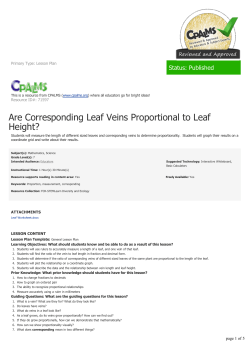 Are Corresponding Leaf Veins Proportional to Leaf Height