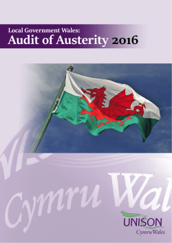 Audit of Austerity - UNISON Cymru / Wales