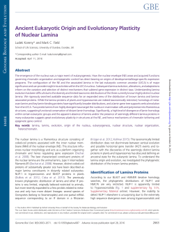 Ancient Eukaryotic Origin and Evolutionary Plasticity of Nuclear
