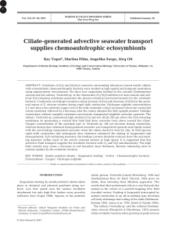 Full text in pdf format