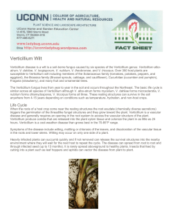 Printable PDF - UConn Home and Garden Education Center