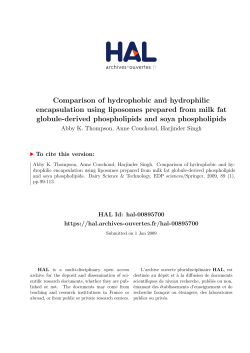 Comparison of hydrophobic and hydrophilic encapsulation