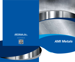 English - AMI Metals, Inc.