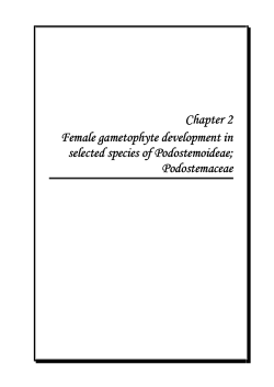 08_chapter 2