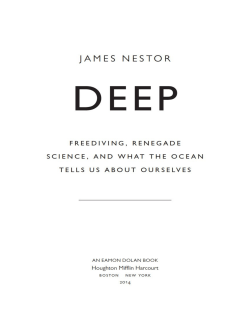 sample - Casa Fluminense