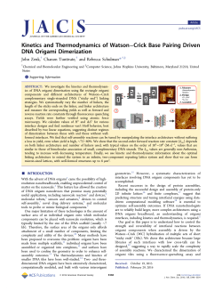 Kinetics and Thermodynamics of Watson&ndash;Crick Base Pairing Driven