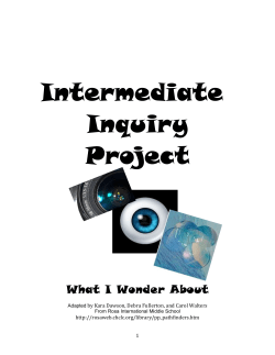 intermediateinquirypackage