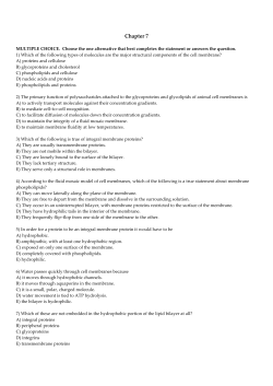 chapter 7.rtf - HCC Learning Web