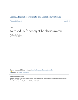 Stem and Leaf Anatomy of the Alseuosmiaceae