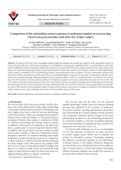 (Nyctereutes procyonoides ) and silver fox - Tubitak Journals