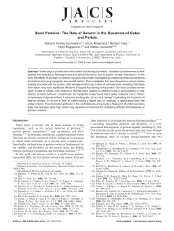 Heme Proteins: The Role of Solvent in the Dynamics of Gates and