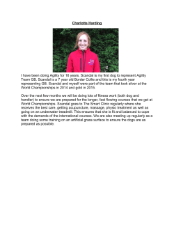 Charlotte Harding I have been doing Agility for 16 years. Scandal is