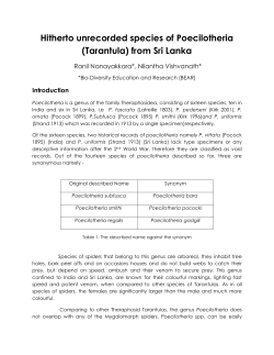 Hitherto unrecorded species of Poecilotheria (Tarantula