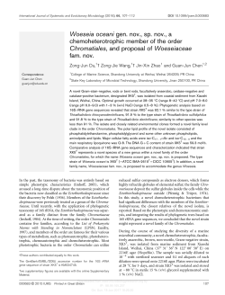 Woeseia oceani gen. nov., sp. nov., a chemoheterotrophic member