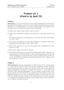 Biophysics of Macromolecules: Problem set 1
