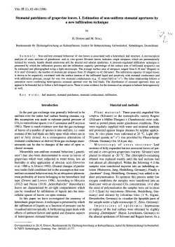 Stomatal patchiness of grapevine leaves. I. Estimation of - Vitis-vea