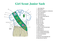 Placement of Insignia Diagram
