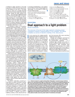 Dual approach to a light problem