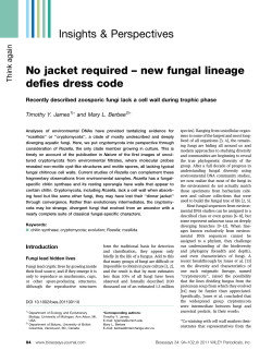 No jacket required new fungal lineage defies dress code
