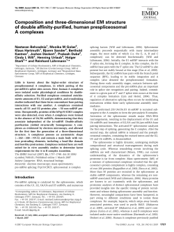 Composition and threedimensional EM structure of double