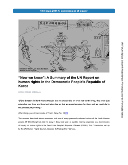 A Summary of the UN Report on human rights in the Democratic