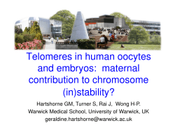 Telomeres in human oocytes and embryos: maternal contribution to