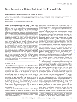 Signal Propagation in Oblique Dendrites of CA1 Pyramidal Cells