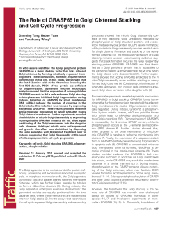 The Role of GRASP65 in Golgi Cisternal Stacking and Cell Cycle