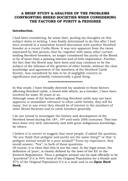 Purity or PedigreeFINAL 230116